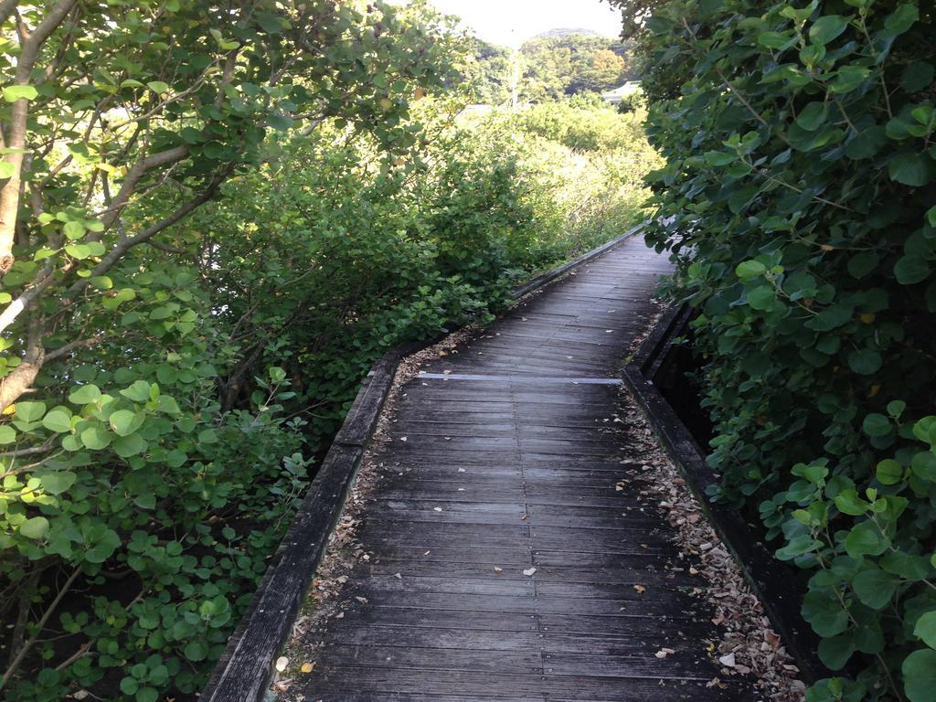 Retreat Wabi-Sabi - Walk To Ohama Beach - Max 12 Ppl ชิโมดะ ภายนอก รูปภาพ