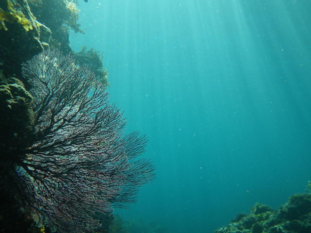 Retreat Wabi-Sabi - Walk To Ohama Beach - Max 12 Ppl ชิโมดะ ภายนอก รูปภาพ